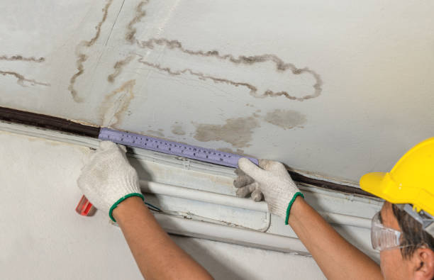 Reliable Structural Drying contractor in Shamrock, OK by Water Damage Irwin